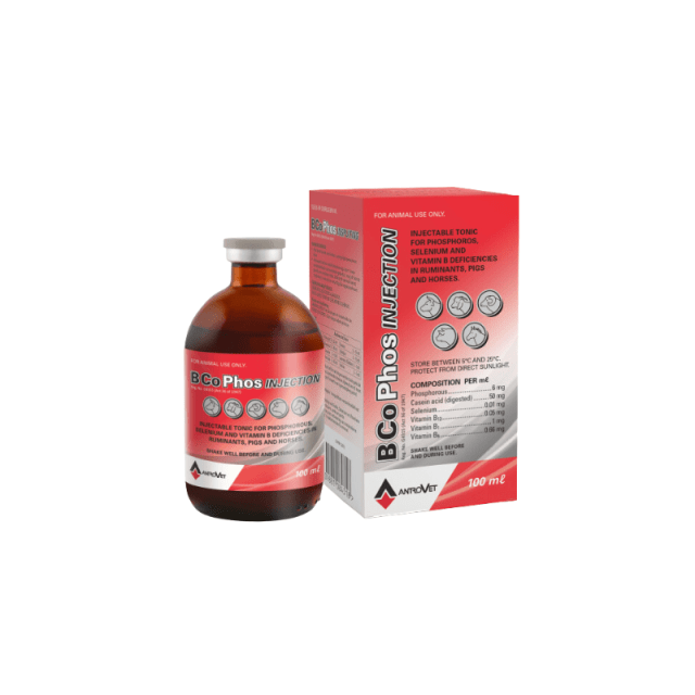 B Co Phos Injection – Comvet Animal Health