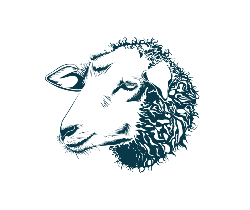 Sheep Products