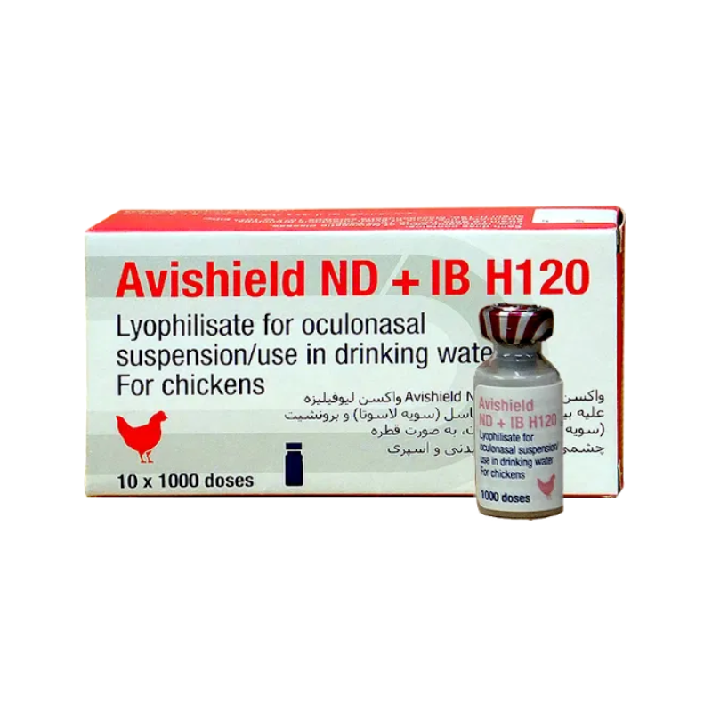 Avishield ND B1 + IB H120 1000D