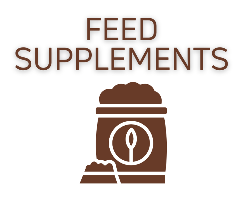 Sheep Feed Supplements