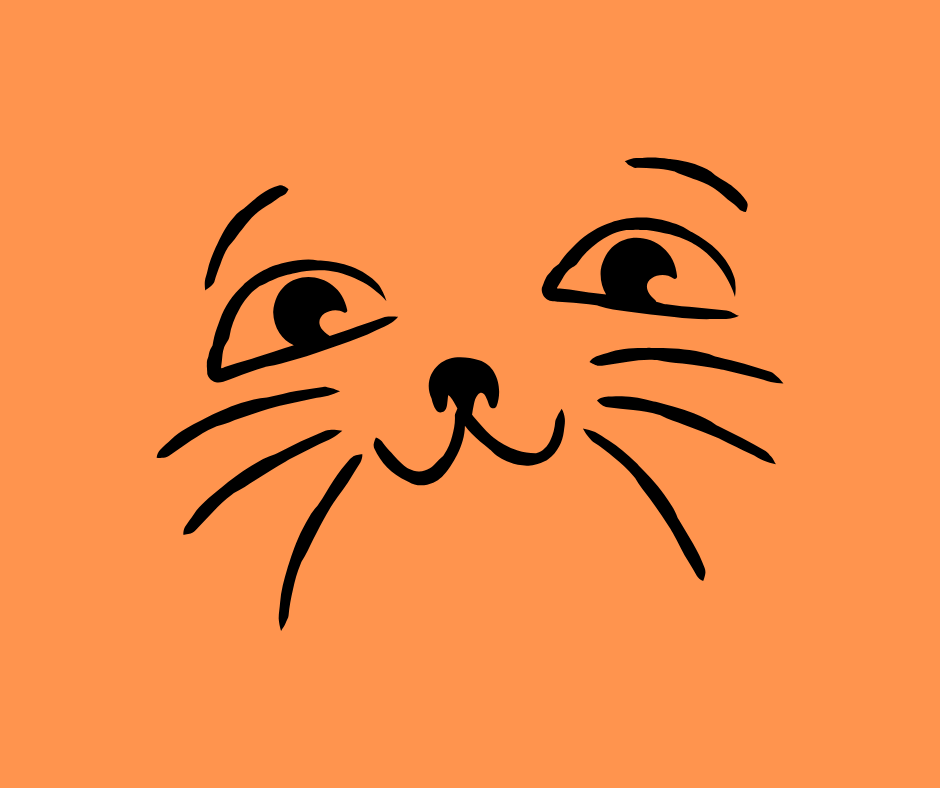 Cat Care