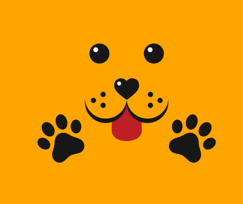 Dog Care