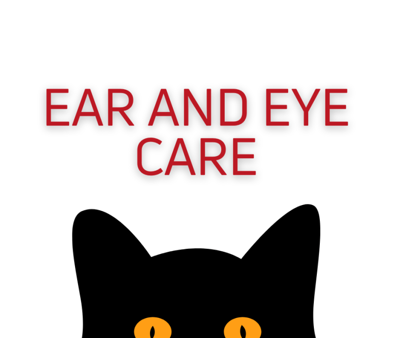 Ear and Eye Care