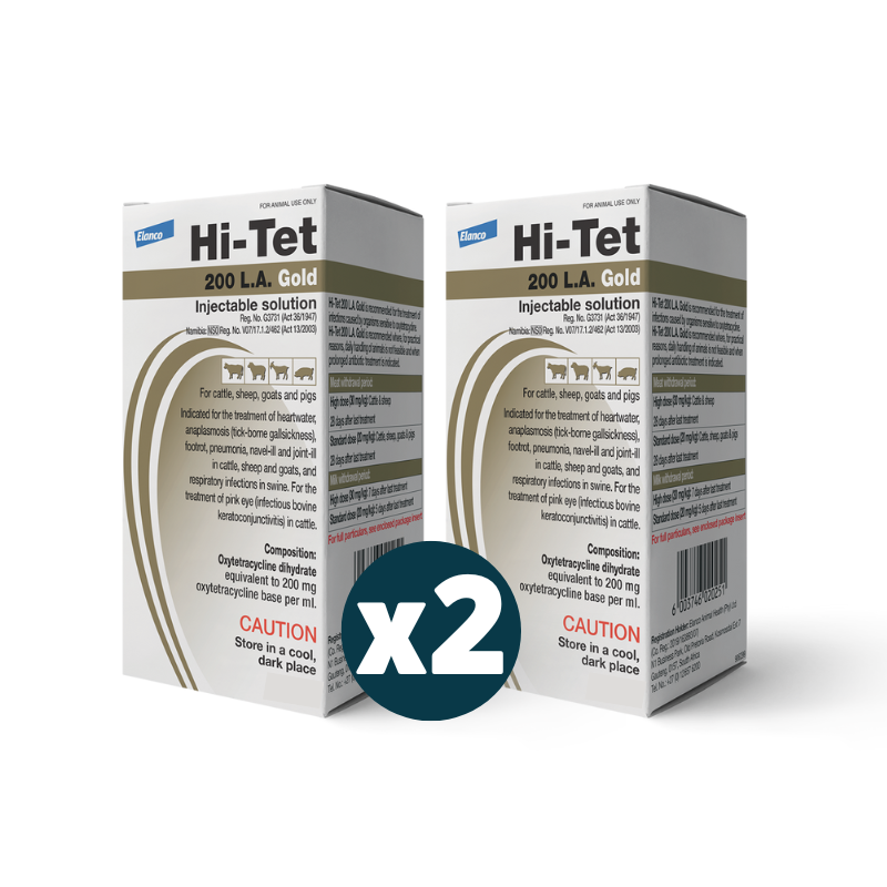 Hitet 200 LA Gold