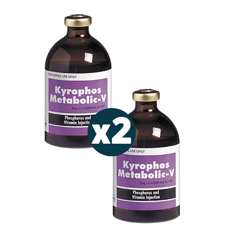 Kyrophos Metabolic V 100ml