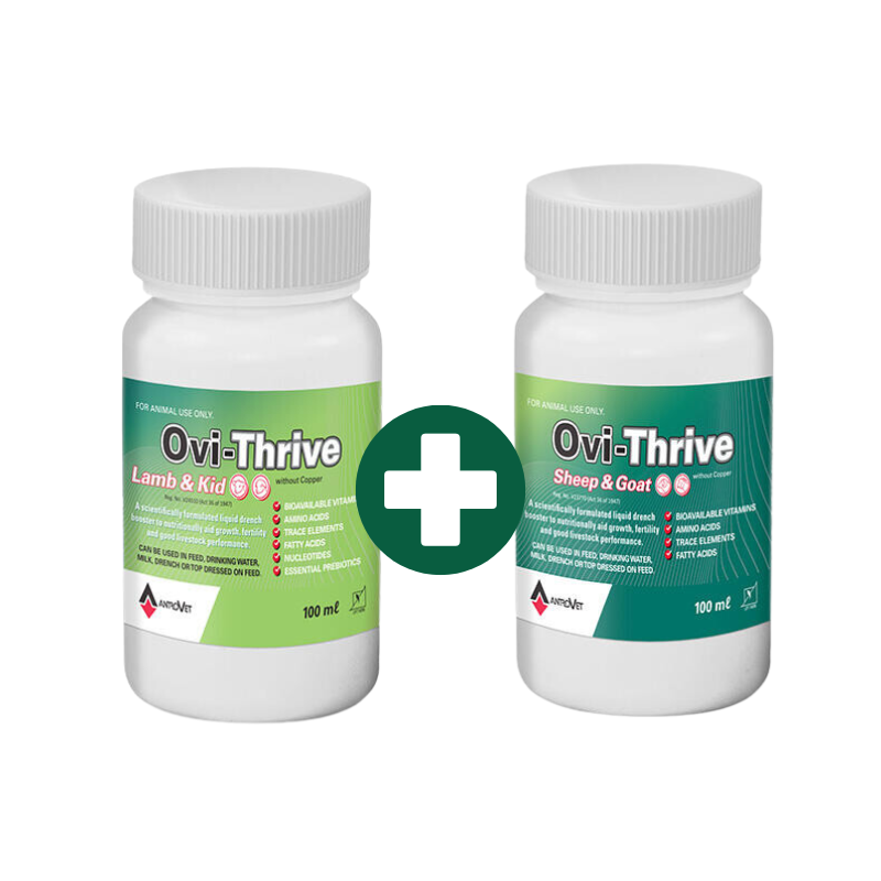 Ovi-Thrive Lamb and Kids