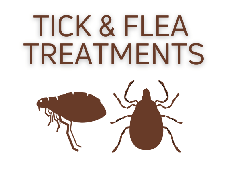Tick & Flea Treatments
