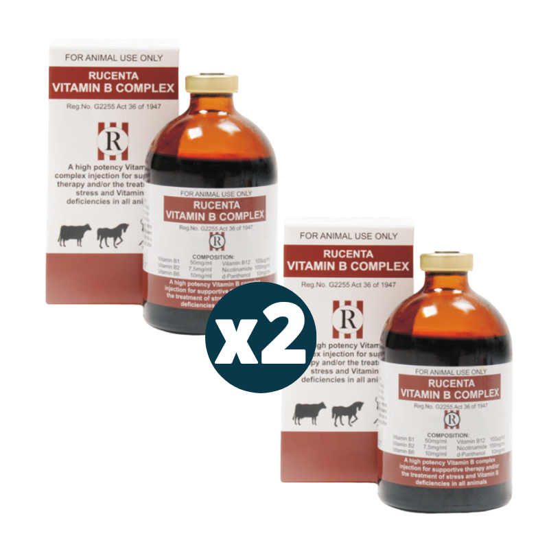 Rucenta Vitamin B Complex 100ml