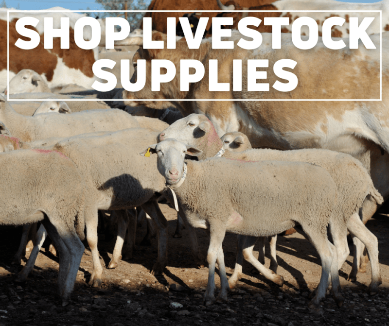 Livestock Supplies