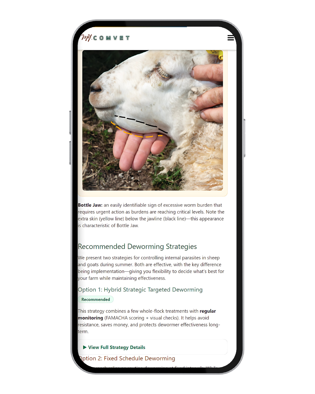 Screenshot of the My Comvet deworming strategies section