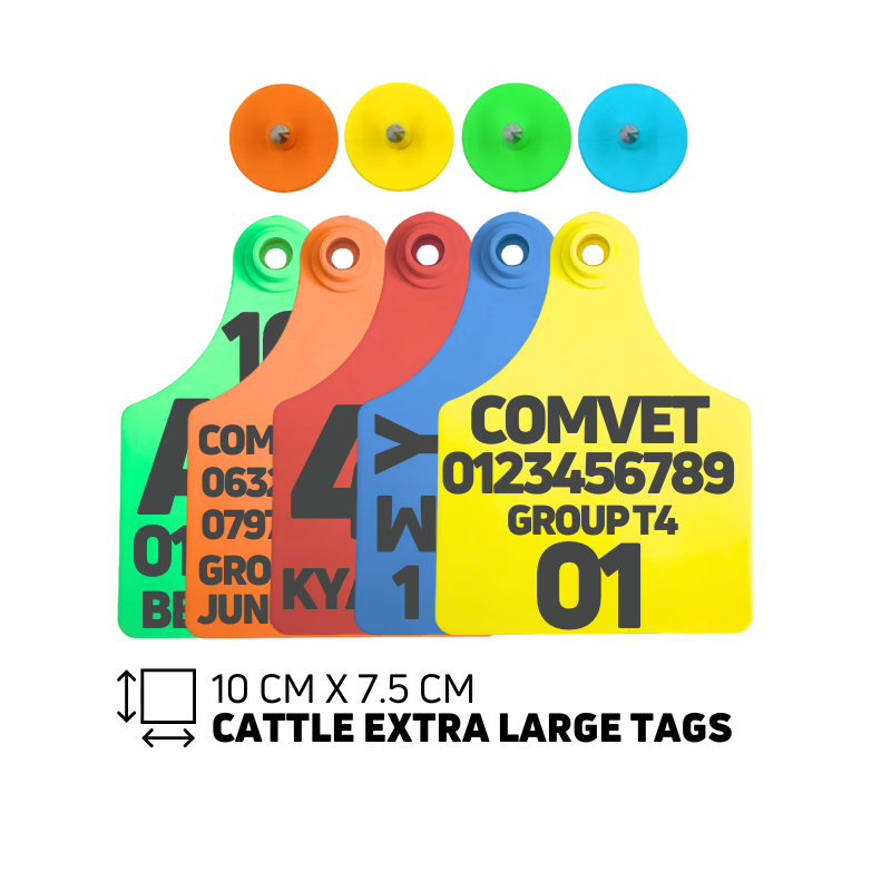 Tag 4 Laser Printed Eartags | Cattle Large